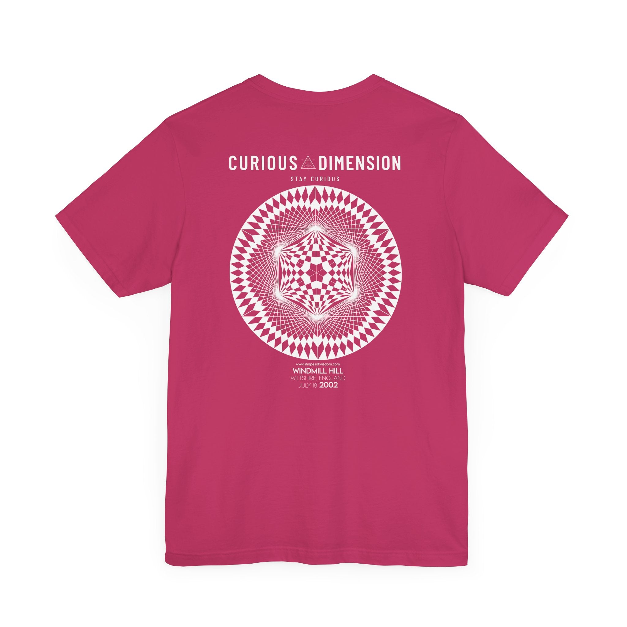 Curious Dimension Basic T-Shirt